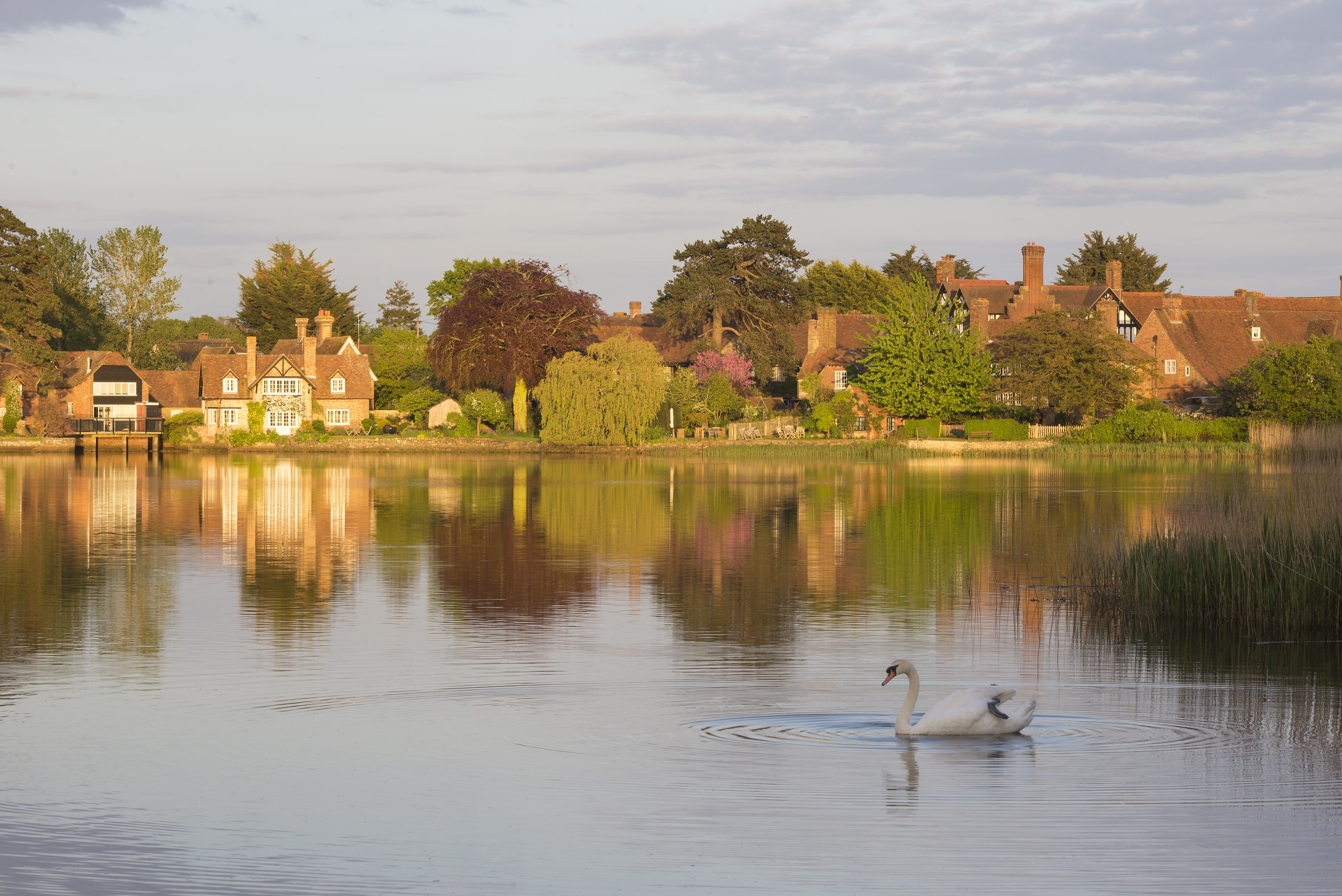 Hampshire-Contact